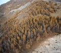DSC08582 - Panorama